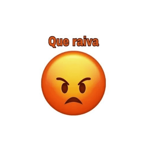 Que raiva  16