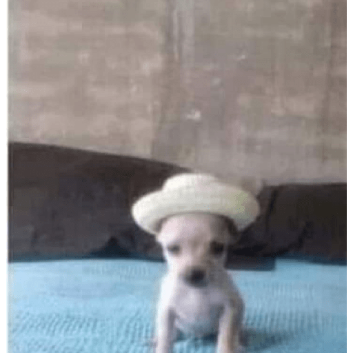 Eres un naco y estúpido 6