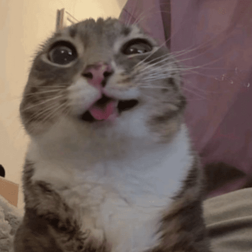 Gatinhos. | @ocenferios  Haki. 6
