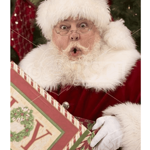 Papai Noel Memes 11
