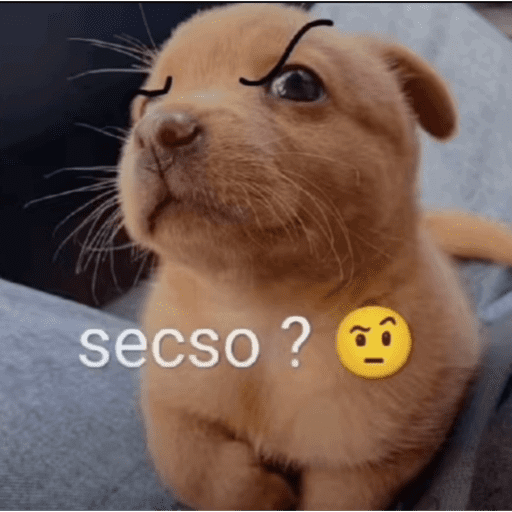 Tiktok 29
