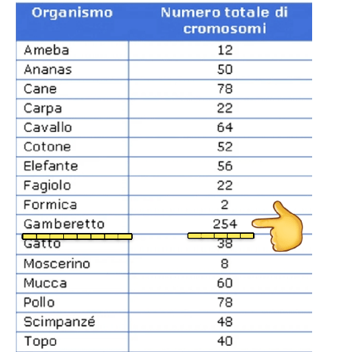 Italia 6