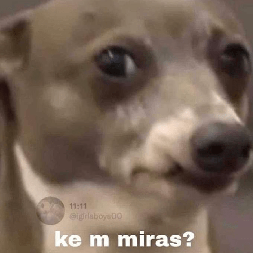 Cola de perro  1