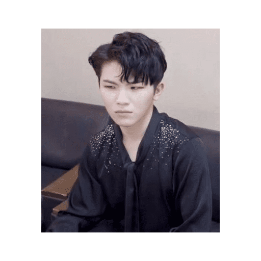 Woozi (no text) by pin 18