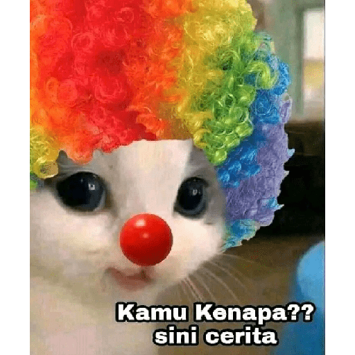 Stiker Kucing 7