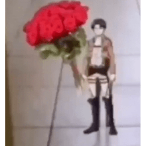Sei la 1