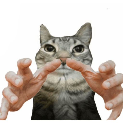 Cats of the dark  16