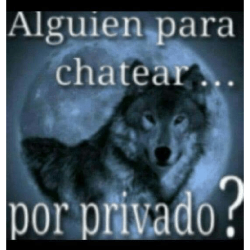 Sé un lobo 24