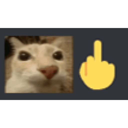 Cats of the dark  1