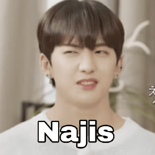 Kpop random tiker 19