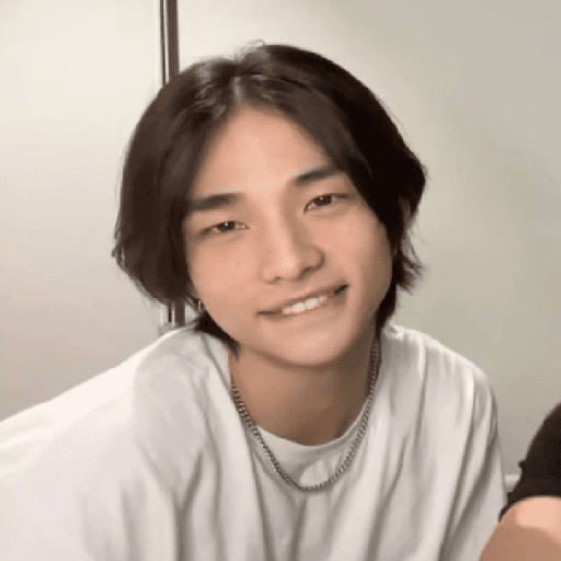| Hyunjin  24