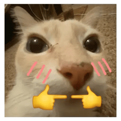 Cats of the dark  4