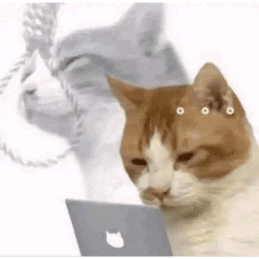 Estáticos twitter 4 9