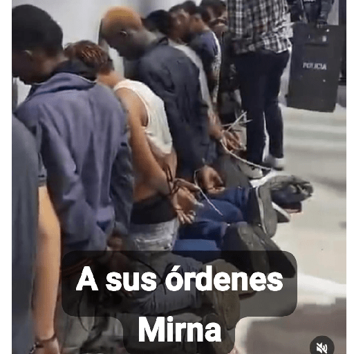 Cola de perro  3