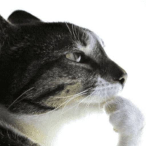 Cats of the dark  9