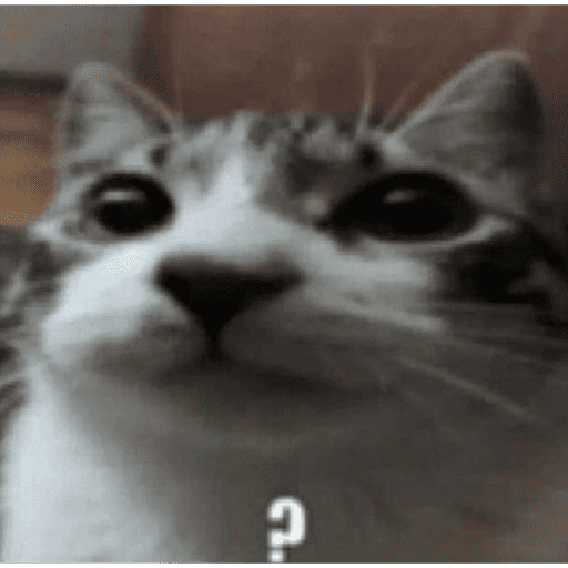 Cats of the dark  7