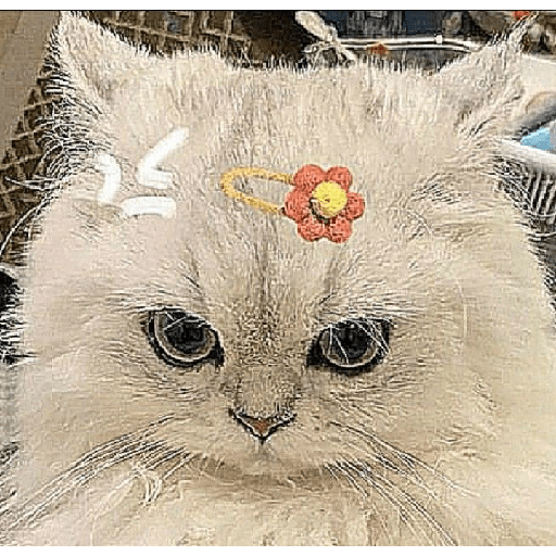 Stiker Kucing 14