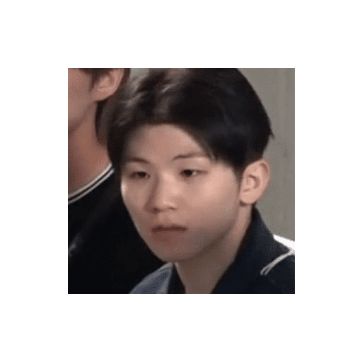 Woozi (no text) by pin 19