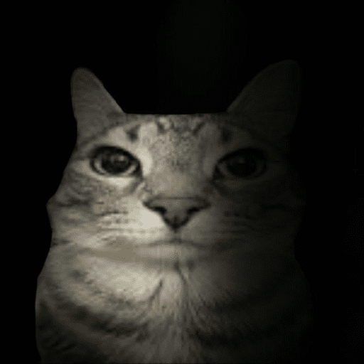 Cats of the dark  6