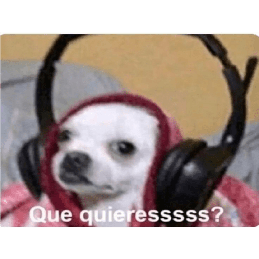 Shitpostxd 24
