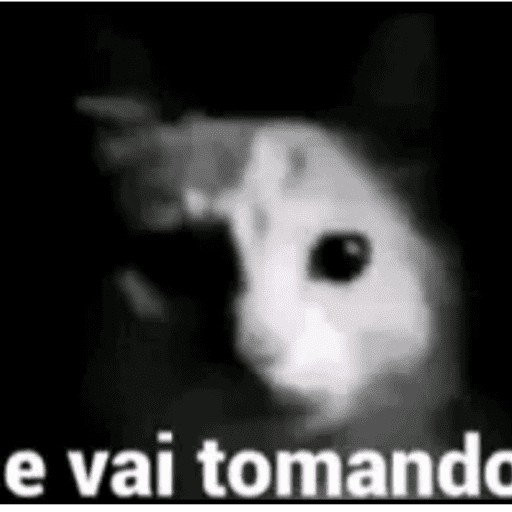 Cats of the dark  14
