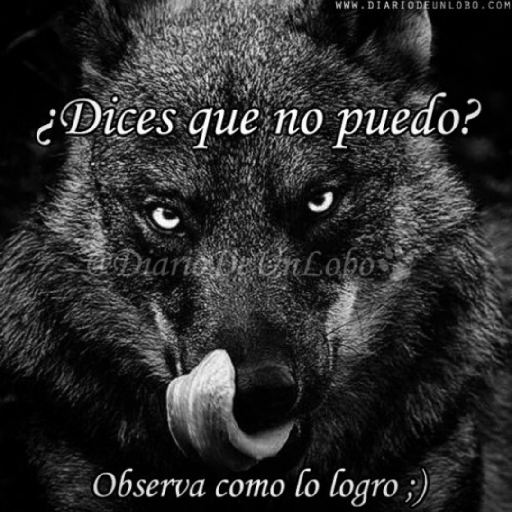 Sé un lobo 21