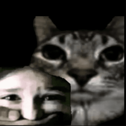 Cats of the dark  11