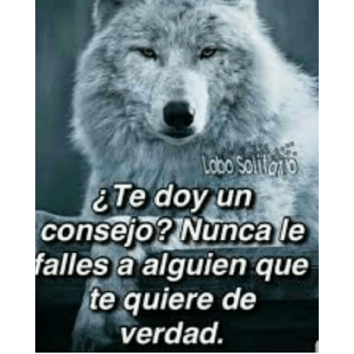 Sé un lobo 29