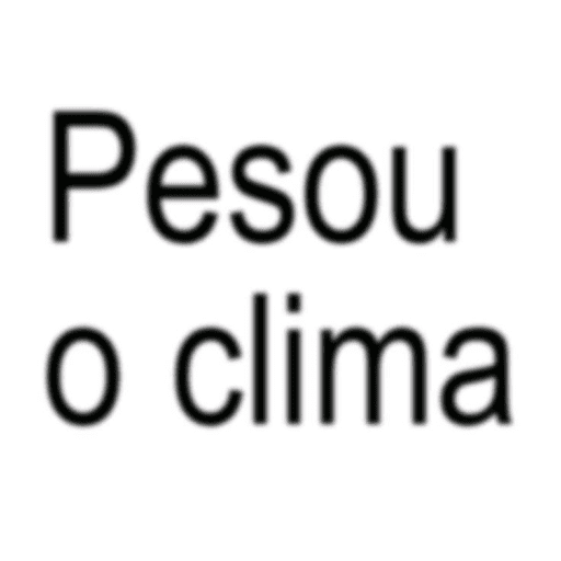 Zueira 29