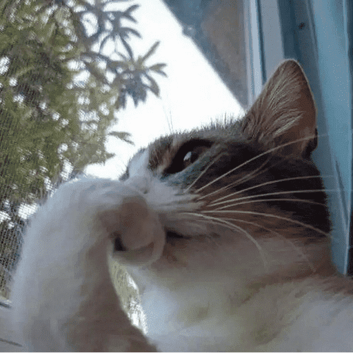 Cats of the dark  8