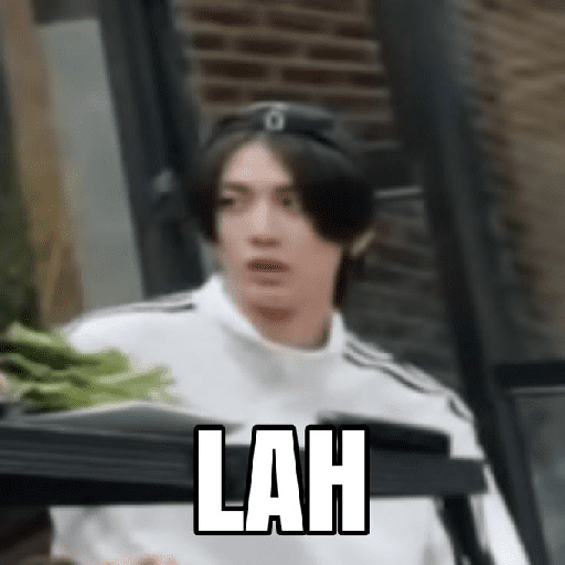 Kpop random tiker 24