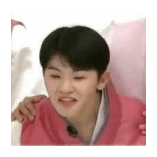 Woozi (no text) by pin 2