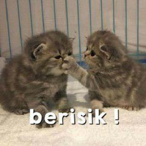 Stiker Kucing 1