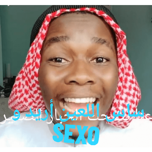 Aita 2.0 15