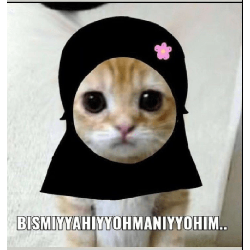 Stiker Kucing 5