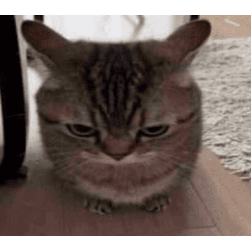 Cats of the dark  13