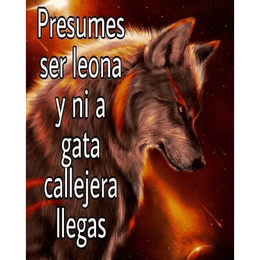 Sé un lobo 25