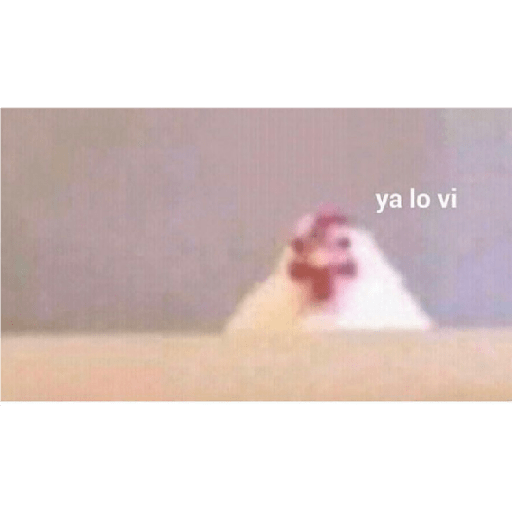 Shitpostxd 21