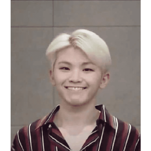 Woozi (no text) by pin 1