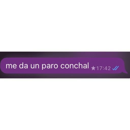 GIRLS🪩🔝 24