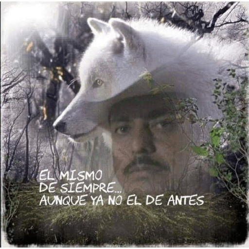 Sé un lobo 27
