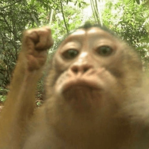 Monky lovers de <3 8