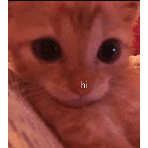 Bb de mim 8
