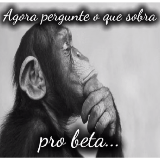 Eu sabo kkkk 26