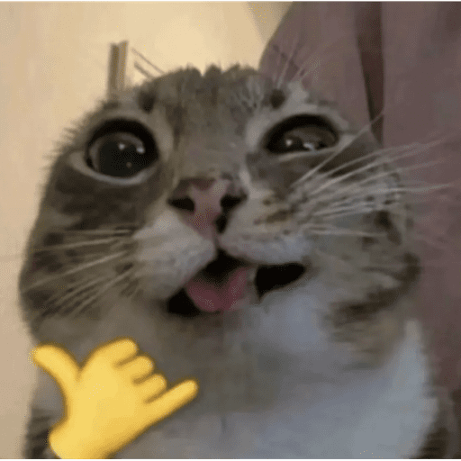 Bb de mim 5