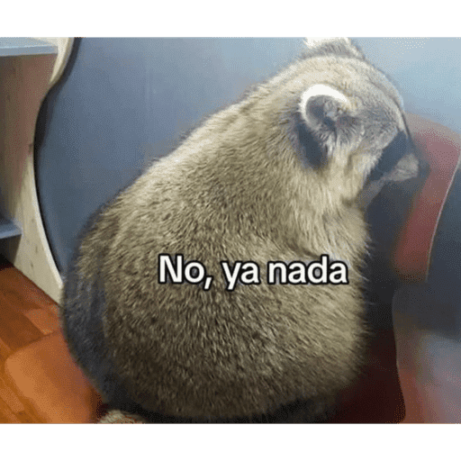 FUNNY PARA TIKTOK 4