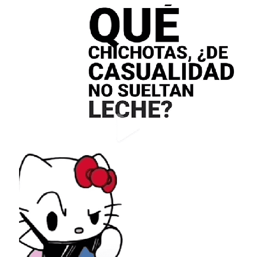 Nuevo momos 26