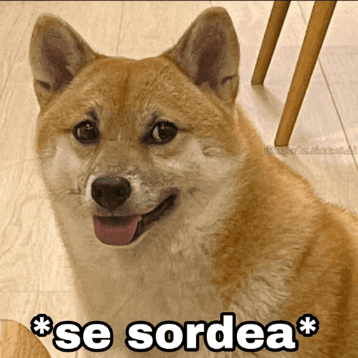 FUNNY PARA TIKTOK 6