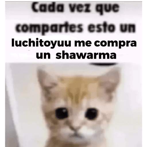 Uwu 24