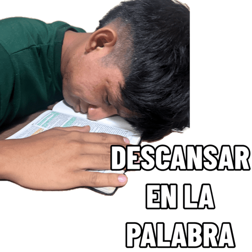 Tonytacaño 13